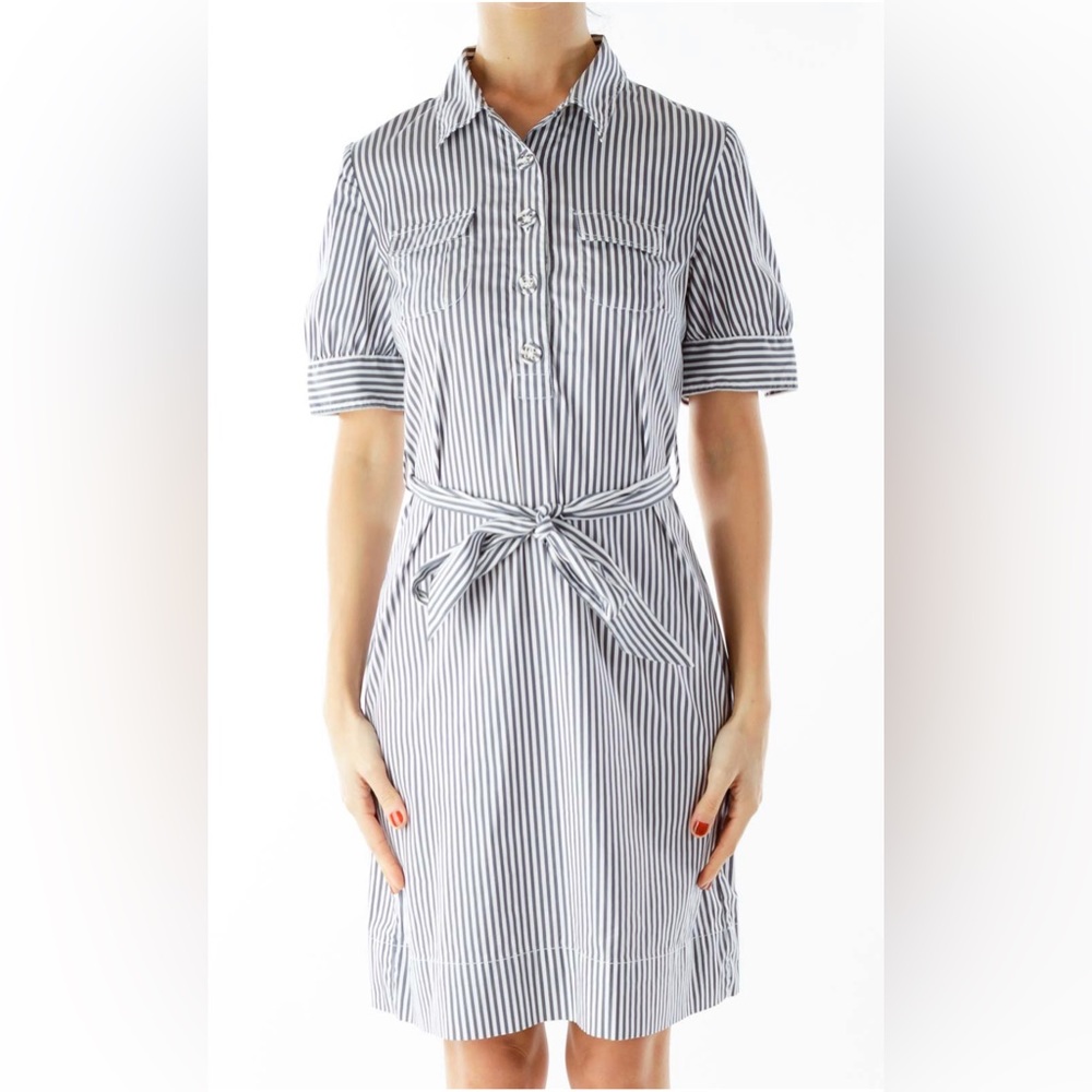Banana Republic Size 14 Blue and White